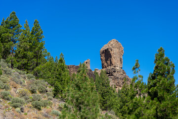 View of Roque Nublo mountain at Roque Nublo Rural Park, Gran Canary, Spain