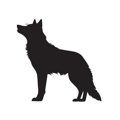Black wolf vector silhouette, wild canine art
