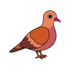  Elegant Zenaida Dove Bird Vector