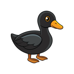  Stunning African Black Duck Depiction