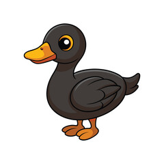 Obraz premium Beautiful African Black Duck Design