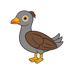  Charming African Finfoot Illustration
