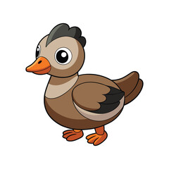  Stunning African Pygmy Goose Bird Illustration