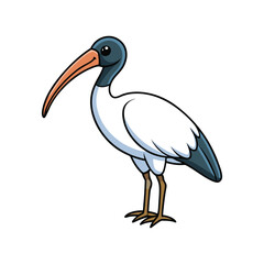 Realistic Sacred Ibis Bird Color Illustration