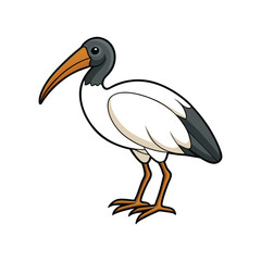  Colorful Representation of Sacred Ibis Bird