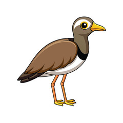  Realistic Wattled Lapwing Bird Illustration