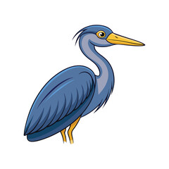  Beautifully Illustrated Agami Heron Bird