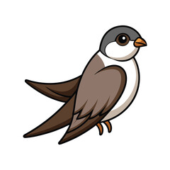  Beautiful Alpine Swift Bird Representation