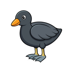  Realistic American Coot Bird Artwork