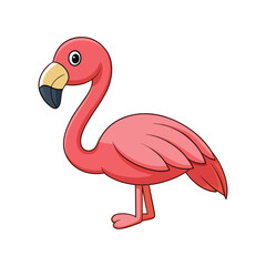  Stunning American Flamingo Bird Representation