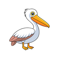  Stunning American White Pelican Design