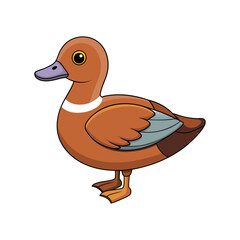  Detailed American Wigeon Depiction