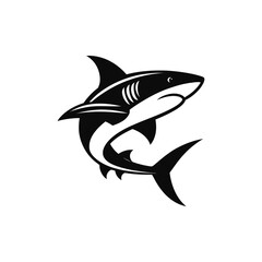 Shark illustration