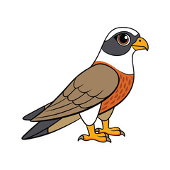  Stunning Amur Falcon Design
