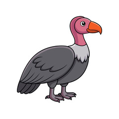  Realistic Andean Condor Illustration