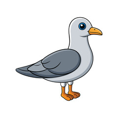  Detailed Andean Gull Depiction