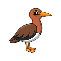  Stunning Andean Snipe Design