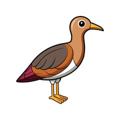  Detailed Andean Snipe Depiction