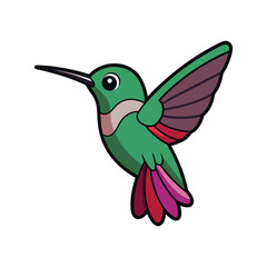  Charming Anna's Hummingbird Illustration
