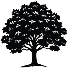 Oak tree silhouette
