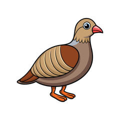  Stunning Arabian Partridge Bird Colorful Illustration