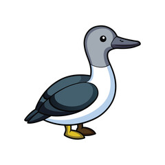  Stunning Arctic Loon Bird Colorful Illustration