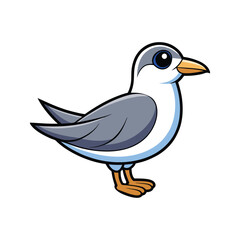  Realistic Arctic Tern Bird Illustration