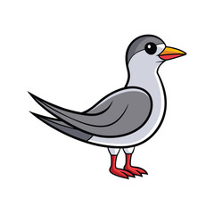  Stunning Arctic Tern Bird Colorful Illustration