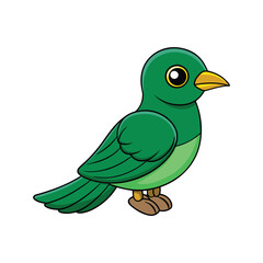  Colorful Representation of Asian Emerald Cuckoo