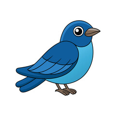  Vibrant Asian Fairy Bluebird Detailed Illustration