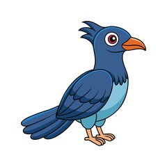  Vibrant Asian Koel Bird Detailed Illustration