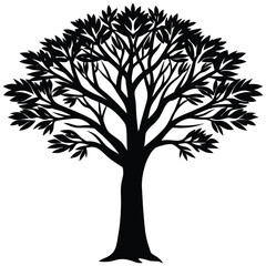 Obraz premium Mesquite tree silhouette 