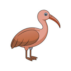 Naklejka premium Elegant Australian Ibis Bird Artwork