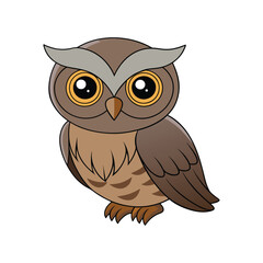  Realistic Australian Owlet Nightjar Artwork