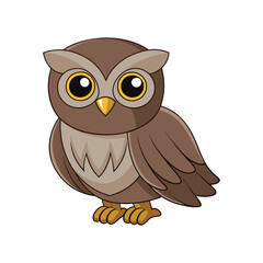  Stunning Australian Owlet Nightjar Representation