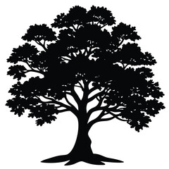 Fototapeta premium Banyan tree silhouette 