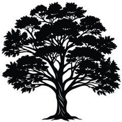 Banyan tree silhouette
