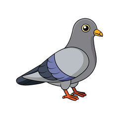  Vibrant Band-Tailed Pigeon Artwork