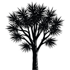 Obraz premium Yucca tree silhouette