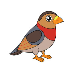  Realistic Barred Fruiteater Illustration