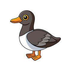  Stunning Barrow's Goldeneye Design