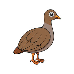  Stunning Bartlett's Tinamou Design