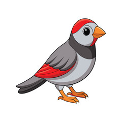  Vibrant Beautiful Firetail Bird Detailed Illustration