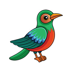  Colorful Representation of Beautiful Sunbird