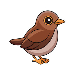  Colorful Representation of Bicknell's Thrush