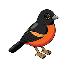 Realistic Black-and-rufous Warbler Bird Illustration