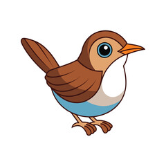  Stunning Bicolored Wren Colorful Illustration