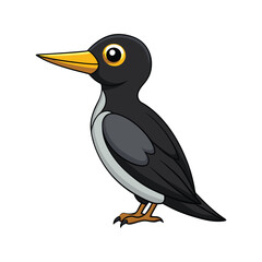  Vibrant Black-backed Woodpecker Bird Detailed Illustration