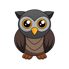  Charming Black-Banded Owl Bird Representation