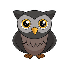  Vivid Black-Banded Owl Bird Illustration